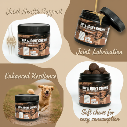 Dog Hip &amp; Joint Chews - Mobility Support with Glucosamine, Chondroitin &amp; MSM for Joint Health, Flexibility &amp; Resilience