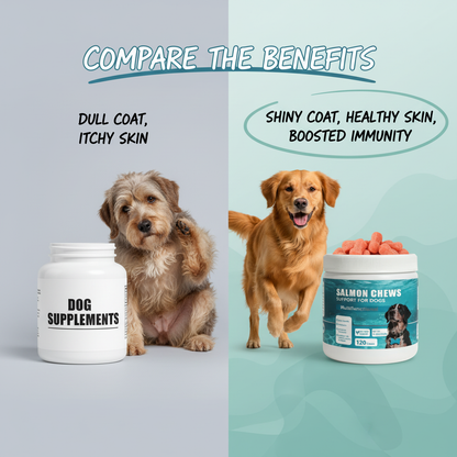 Dog Salmon Chews - Multifunctional Omega 3 Soft Chews for Skin & Coat Health, Immune Support & Moisture with Salmon Oil, Antioxidants & Biotin