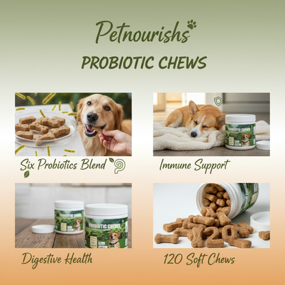 Dog Probiotic Chews - 6 Strains Probiotics Blend for Digestive Health