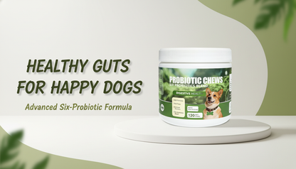 Dog Probiotic Chews, 6-Strain Blend for Dog Digestive Health, Gut Flora & Immune Support