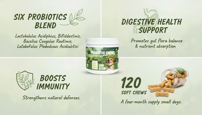Dog Probiotic Chews, 6-Strain Blend for Dog Digestive Health, Gut Flora & Immune Support