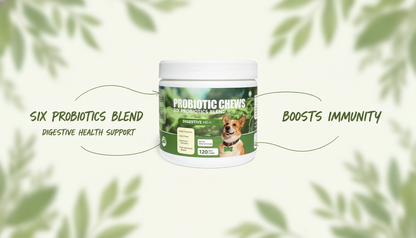 Dog Probiotic Chews, 6-Strain Blend for Dog Digestive Health, Gut Flora & Immune Support