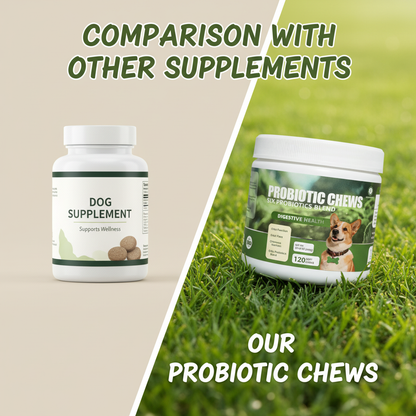 Dog Probiotic Chews - 6 Strains Probiotics Blend for Digestive Health